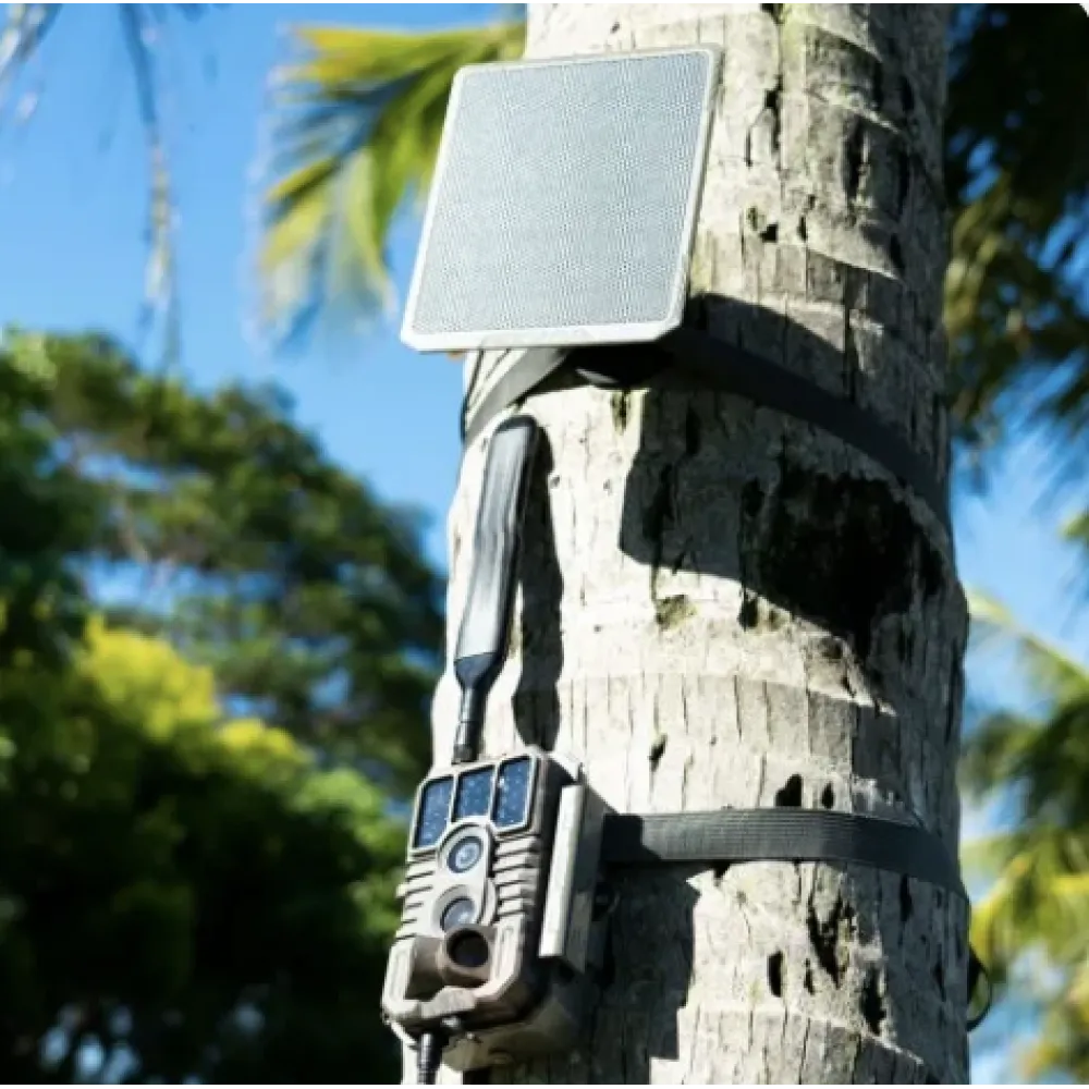 Komplektas: GardePro X60P Live Max belaidė žvėrių kamera su saulės panele SP300