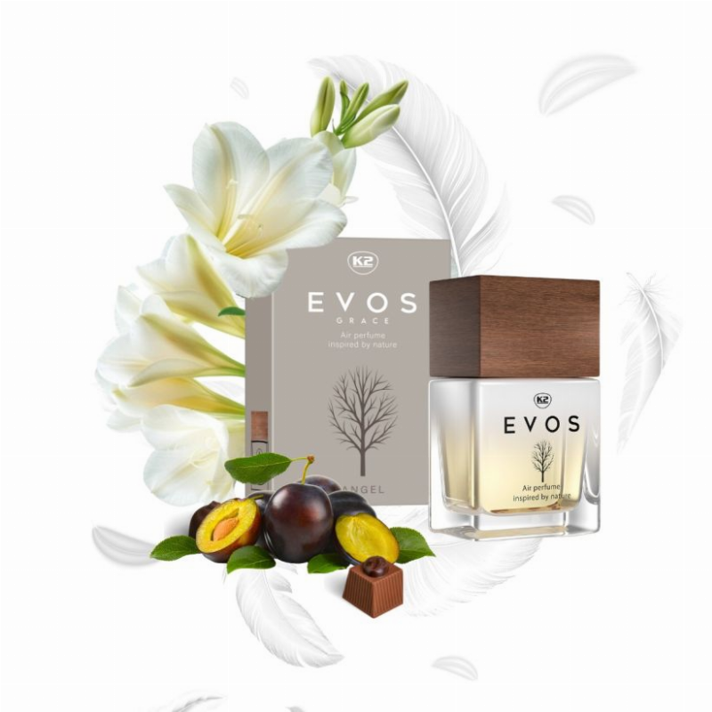 Kvapas - oro gaiviklis K2 Evos Grace