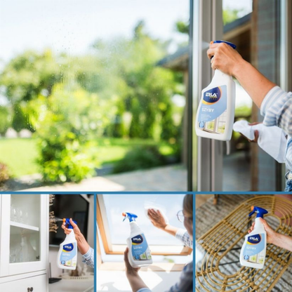 Erla Home Glass Cleaner stiklo valiklis 750ml