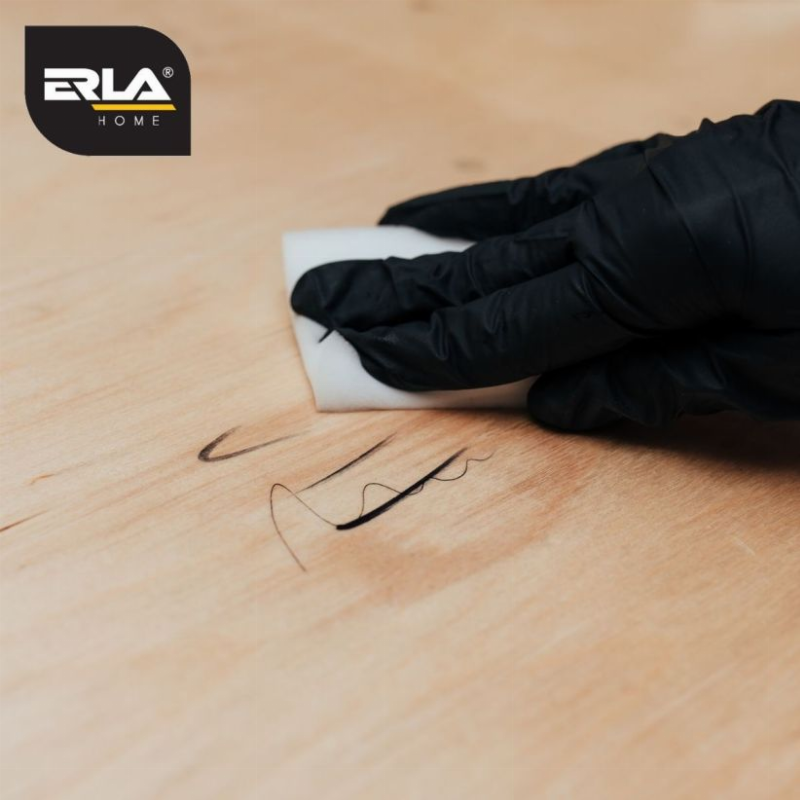 Erla Home Meggi valymo kempinės su valikliu 4vnt