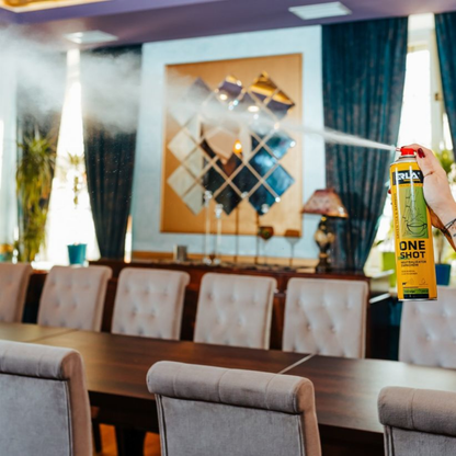 Oro gaiviklis Erla One Shot Green Tea And Bamboo 600ml