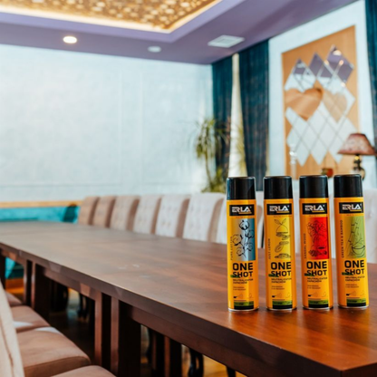 Oro gaiviklis Erla One Shot Green Tea And Bamboo 600ml